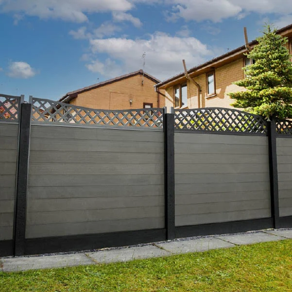 Montaj într-o singură zi