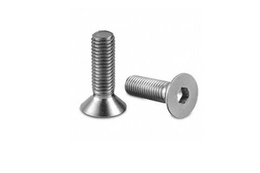 Savadeck vijak M8 – krupni prikaz dva vijka